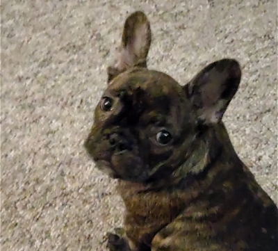 Jack